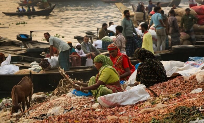 market dynamics phone numbers