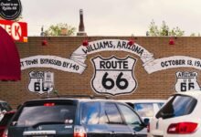 growth dynamics optimization strategy