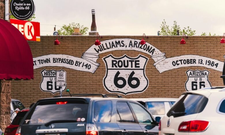 growth dynamics optimization strategy